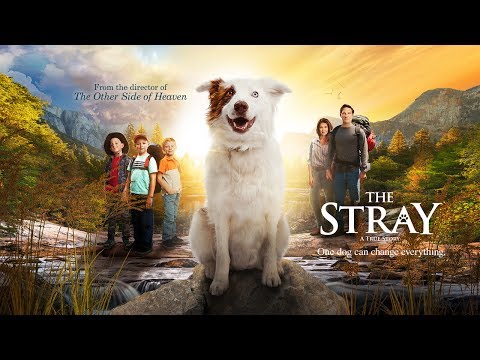 The Stray (Trailer)