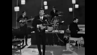 Gerry &amp; The Pacemakers -  I&#39;m The One