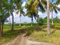 Village Farm With Farm House MMS Melakaranthai