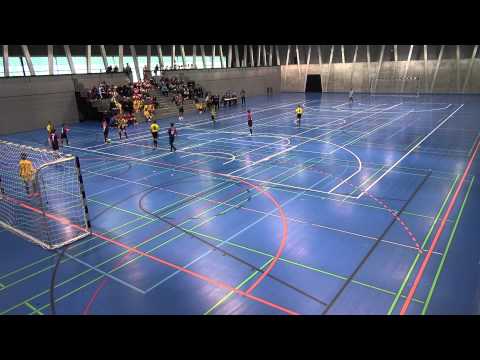 BSC Old Boys Basel U11 - FC Allschwil Ea 10.01.2015