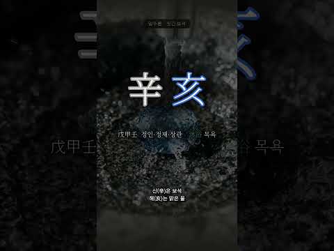 맑은 물에 씻긴 보석 | 신해(辛亥) 일주