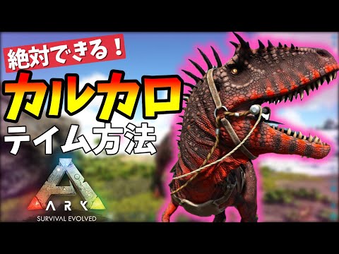 シドニーのオーストラリア博物館にあるギガノトサウルスの骨格