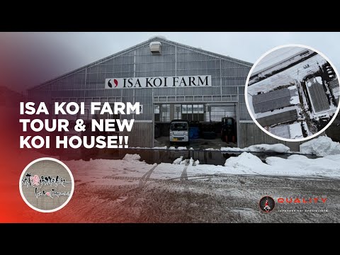 ISA KOI FARM – NEUES KOI-HAUS!! FANTASTISCHE ANLAGE!!