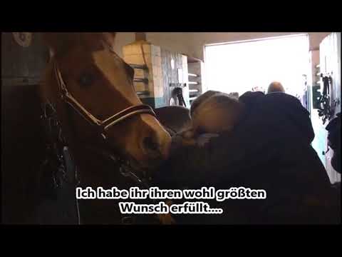 Überraschung.... Amelie bekommt ihr Herzens-Pony Lotti! 16.12.2017