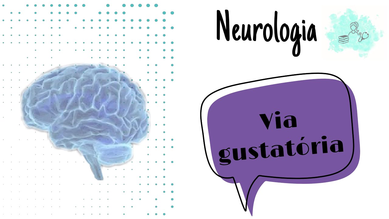 Neurologia- Vias gustativas
