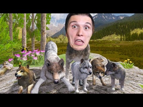 Der WOLF Simulator