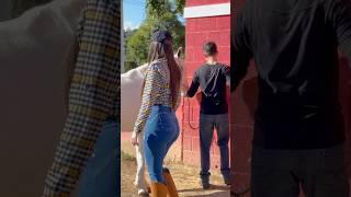 #shortsviral #piadascurtas #piadasrapidas #cavalos #cavalo #pecuarista #viralshort #shorts #viral