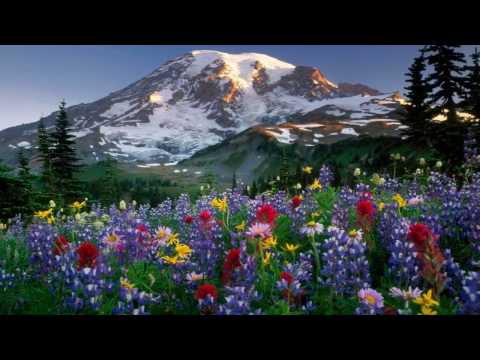 Visoka je gora zelena - Ladarice