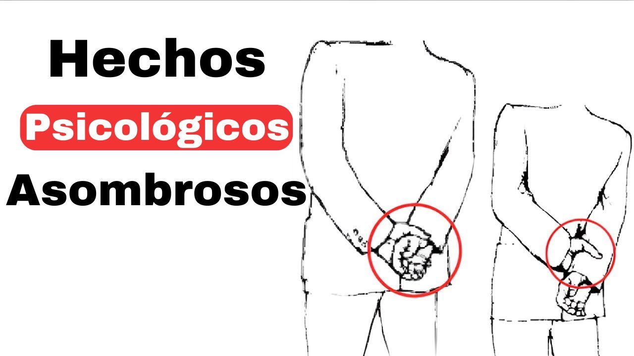 ¡7 Asombrosos Hechos Psicológicos que te Dejarán Boquiabierto!  Alquimia de Rory Sutherland