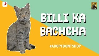 Billi Ka Bachcha - Ankur Tewari | Bachcha Party - Cute Kitten Video