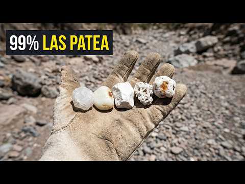 Si Ves Estas Piedras Blancas, Tienes una Fortuna y No lo Sabes (Valen Más que Diamantes)