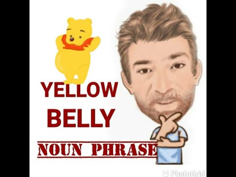 English Tutor Nick P Noun Phrase (428) Yellow-Belly - Origin