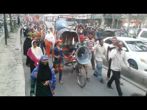 অক্টোবর বিপ্লব শতবর্ষ উদযাপনে লাল পতাকা মিছিল