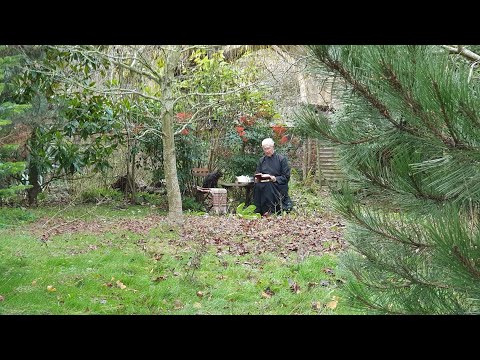 Morning Prayer – Christmas Eve, Thursday, 24th December 2020