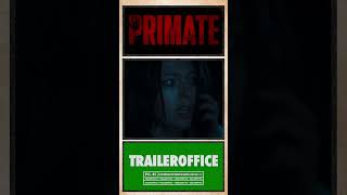 O mamaco está LITERALMENTE no controle...