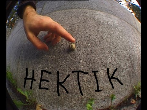 Hektik