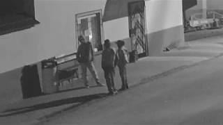Mașină furată, vandalizată și abandonată în câmp – Hoții sunt niște copii din Tălmaciu 1 video
