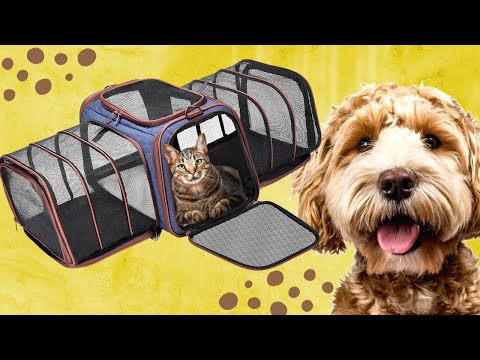 Expandable Cat Dog Pet Carrier TSA Airline Approved Love this item