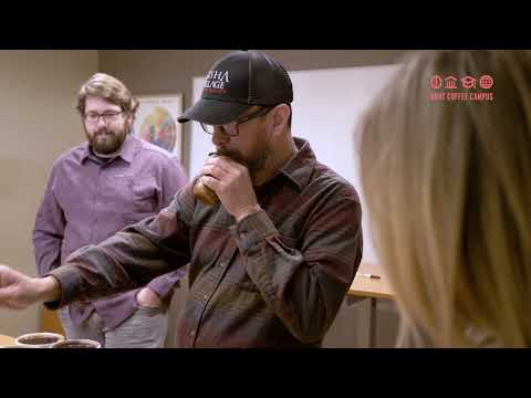 SCA SENSORY SKILLS FOUNDATIONS