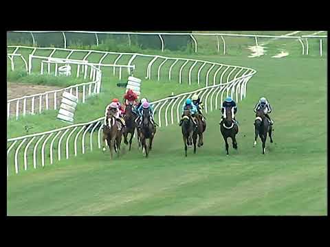 Napoli Galoppo 11/06/2021 - 5ª corsa