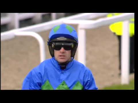 2013 Champion Hurdle - Cheltenham Festival
