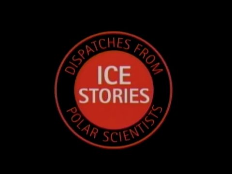 IceCube Neutrino Telescope at the South Pole