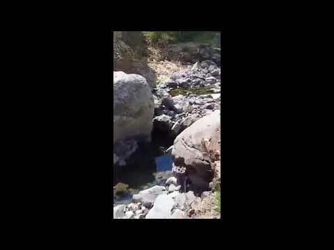 ՀԷԿ-երը շարունակում են ոչնչացնել մեր գետերը