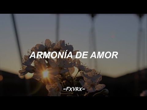 Armonía de amor | Gondwana🌻 | 𝐿𝑒𝓉𝓇𝒶