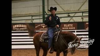 Show Horse Training Tip from World Champion Trainer, Shane Dowdy