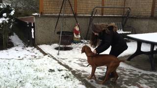 Wenn es schneit... | freezybeex3