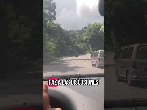 Apunta Bien Pero No Falles 🐺