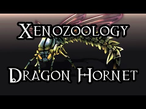 Xenozoology: Dragon Hornet - 40K Theories