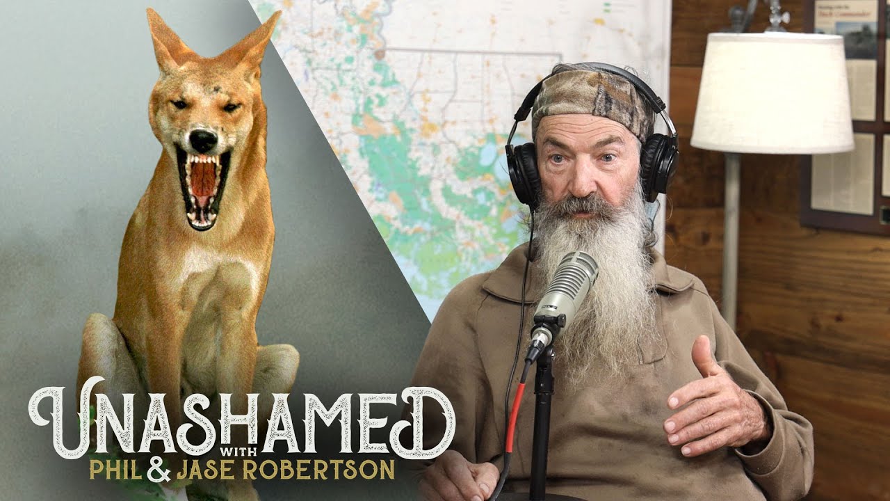Ep 198 | Phil Is Dazed and Confused, the Dingo in His Living Room, and Don't Run from the Mold