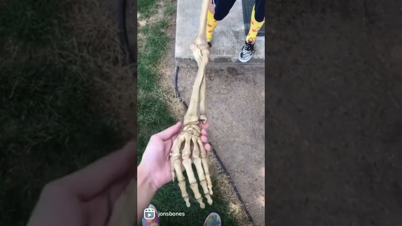 The bones in your arm actually cross!
