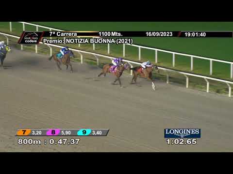 230916 c07 KING CASTLE