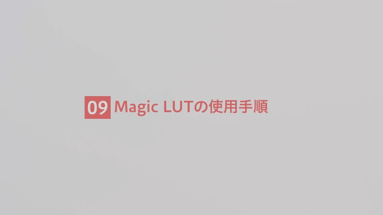 Magic LUTの使用手順