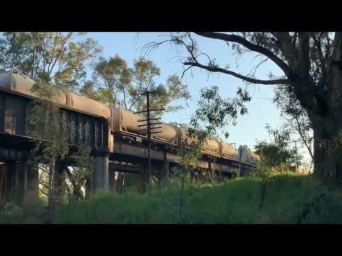Benalla trains 08-02-23