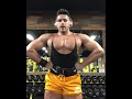 Asthetics bodybuilding handal saldana