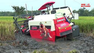 Download lagu KOMBI SAWAH CROWN SUMO TERJEBAK LUMPUR SAMPAI TAK BERKUTIK mp3