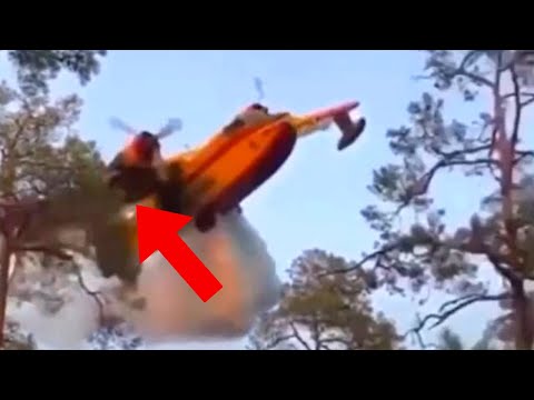Plane Flies Too Low And HITS Trees - Daily dose of aviation