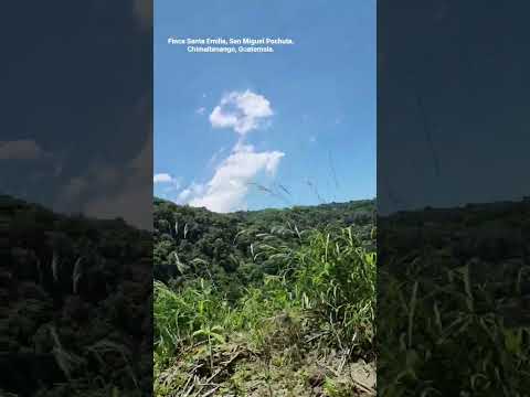 Hermoso paisaje por la Finca Santa Emilia, San Miguel Pochuta, Chimaltenango, Guatemala.