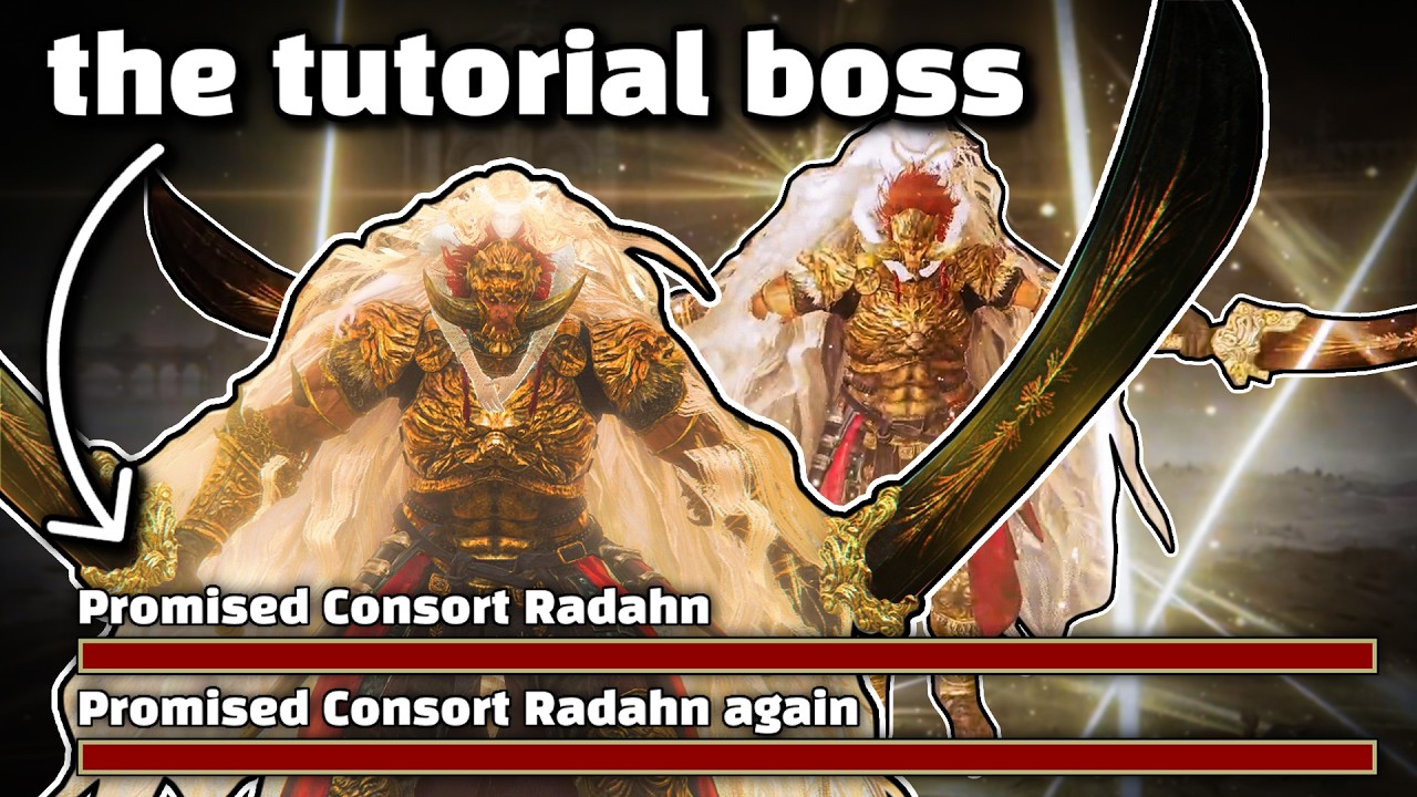 They made an Elden Ring Kaizo mod. It's insane.