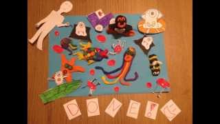 Open, Closed, Double and Single Circulatory Systems in under 4 minutes - AS Biology