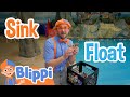 Sink Or Float With Blippi At The Dinosaur Play Park Educational Videos For Kids