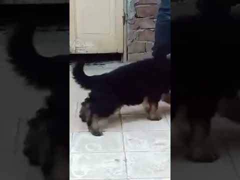 #dj #party #music #afrobeats #club #afrobeat #ghettostyle #housemusic #afrohouse #tiktok