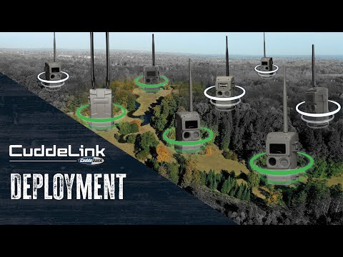 CuddeLink: How to Link Cameras & Improve Signal Strength