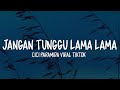 Jangan Tunggu Lama Lama Lirik Cici Paramida Viral Tiktok