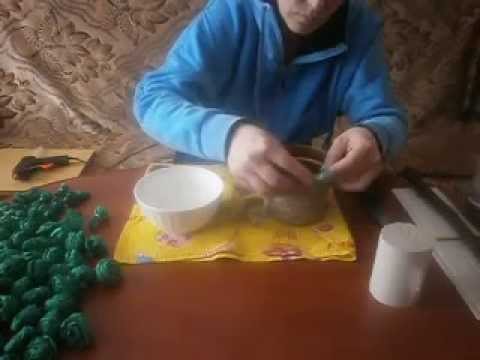 Комнатный цветок бамбук счастья Как новые русские бабки счастье искали
