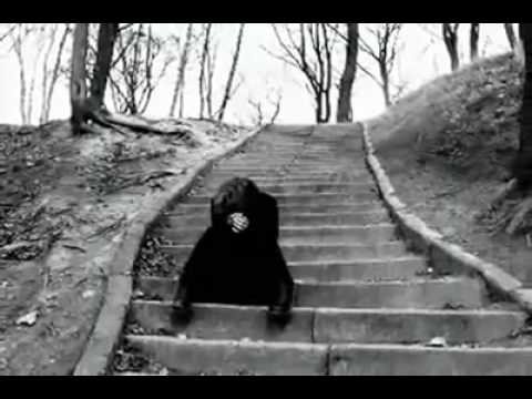 Scope feat. Siyanuraltes - Gel