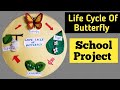 Model of Life Cycle of Butterfly or Silk Moth/School Project for Exhibition and Fair/Kansal Creation